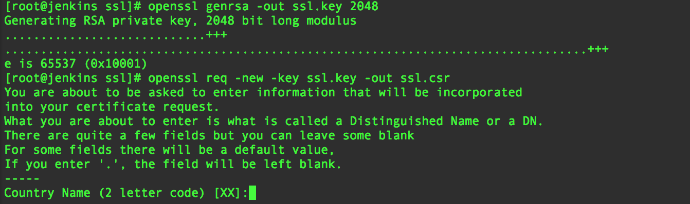 Openssl Generate Key And Self Signed Certificate